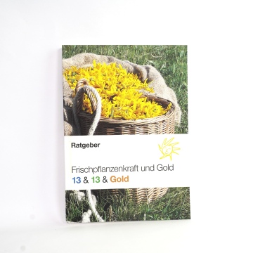 Ratgeber 13 & 13 & Gold